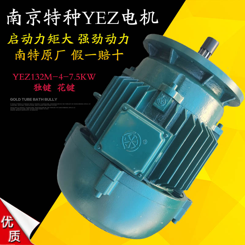 南京特種建筑電機(jī)YEZ擺線針輪減速機(jī)配套電機(jī)YEZ系列錐形轉(zhuǎn)子電機(jī)